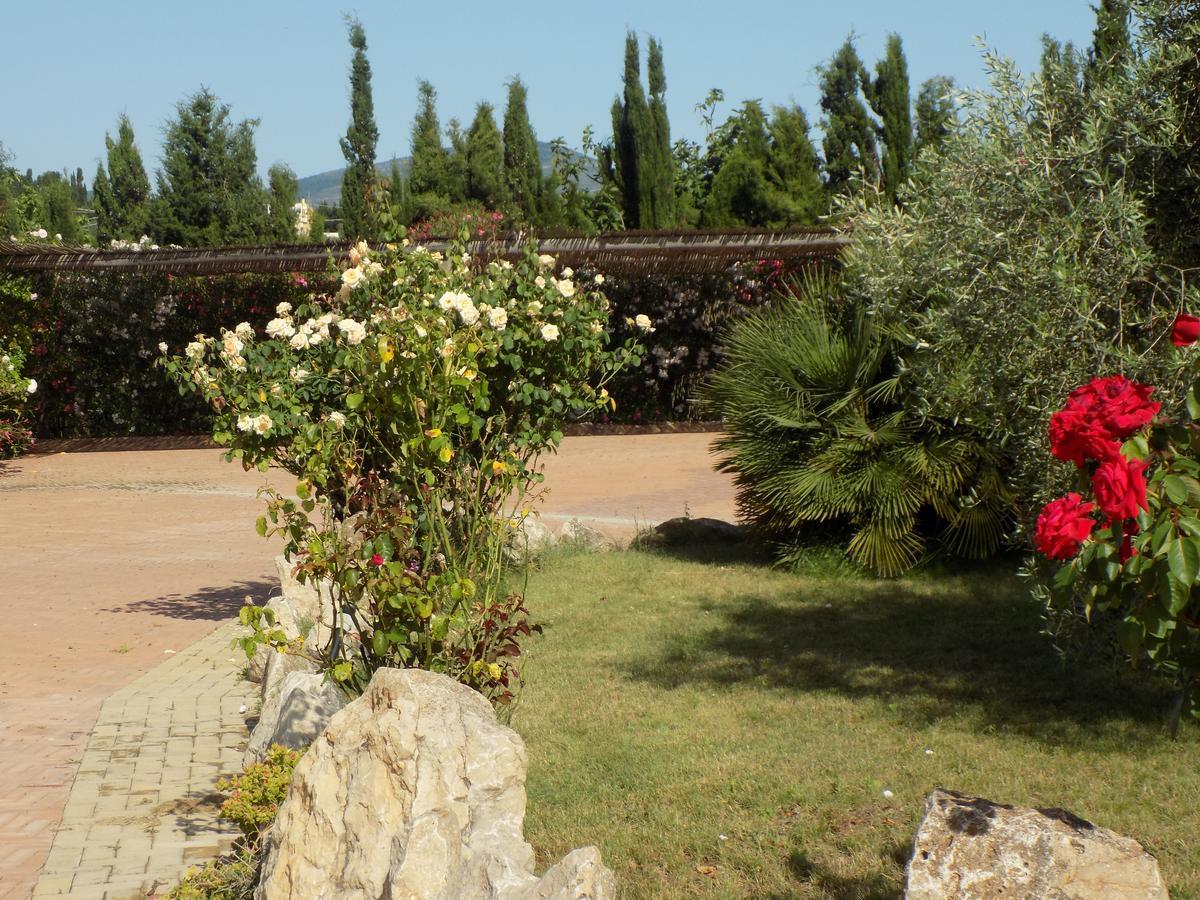 Villa Sorrentina Alghero Ngoại thất bức ảnh